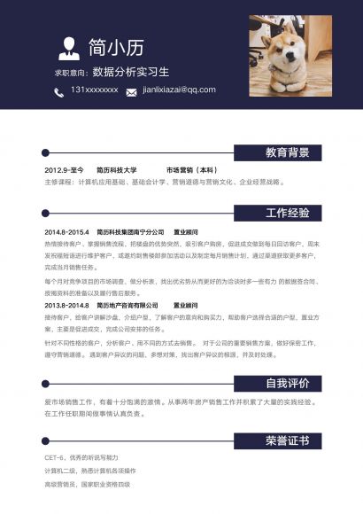 数据分析实习生简历模板免费下载